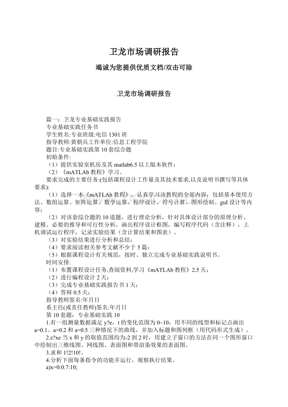 卫龙市场调研报告Word格式文档下载.docx_第1页