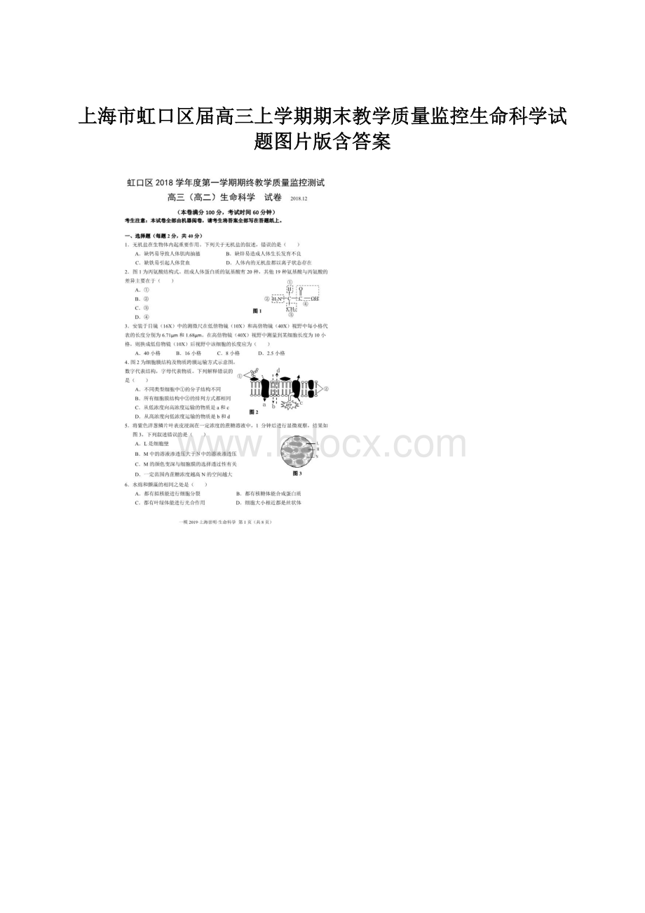 上海市虹口区届高三上学期期末教学质量监控生命科学试题图片版含答案.docx_第1页