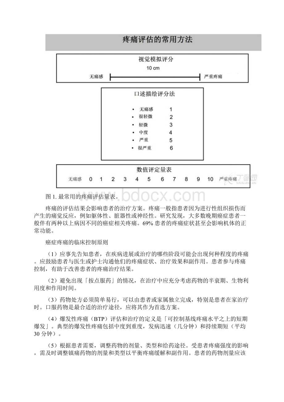 不怕疼 史上最全癌痛控制指南文档格式.docx_第3页