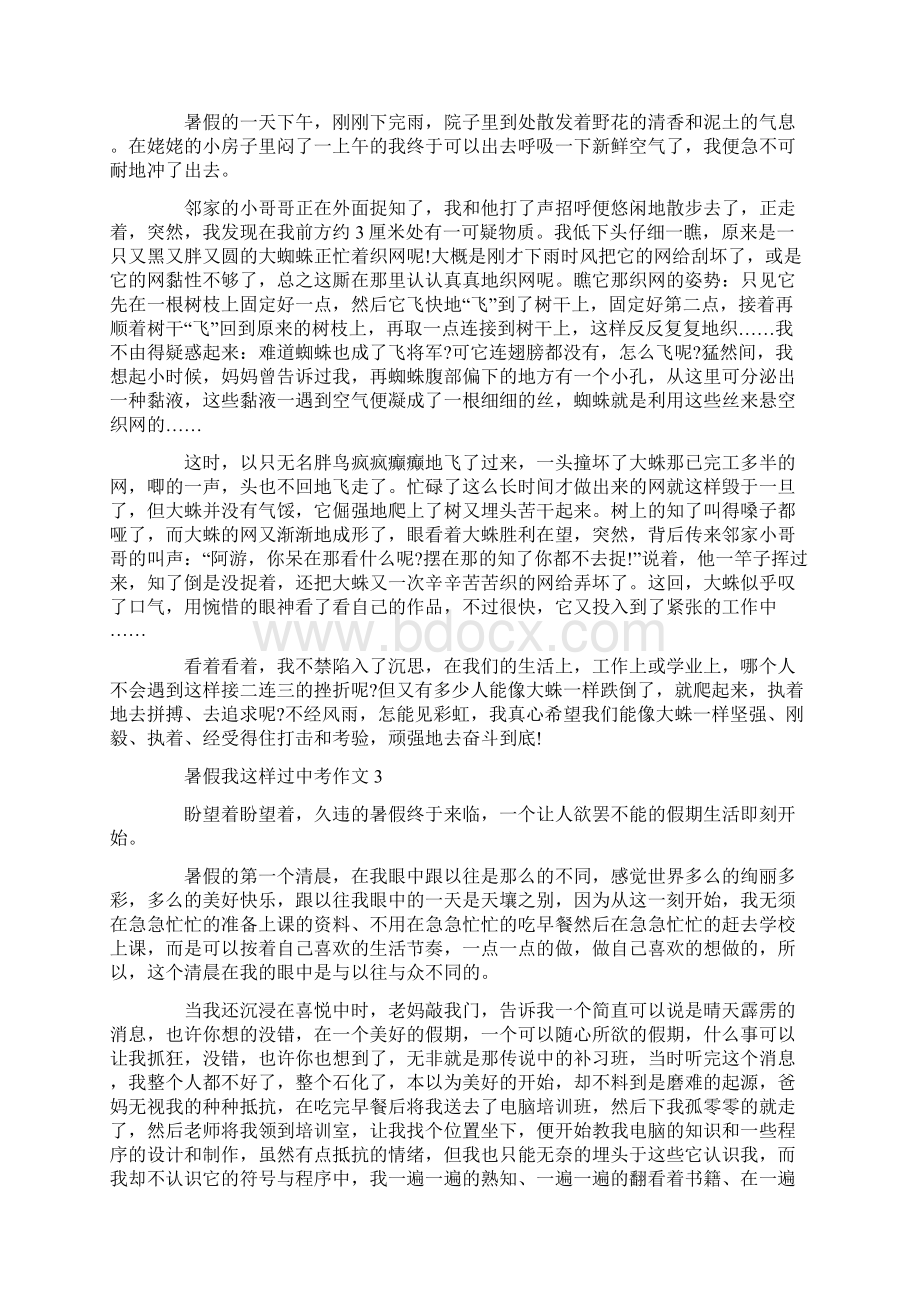 暑假我这样过中考满分作文.docx_第2页