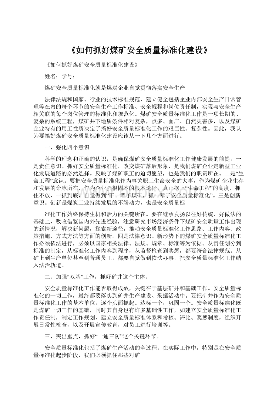 《如何抓好煤矿安全质量标准化建设》.docx