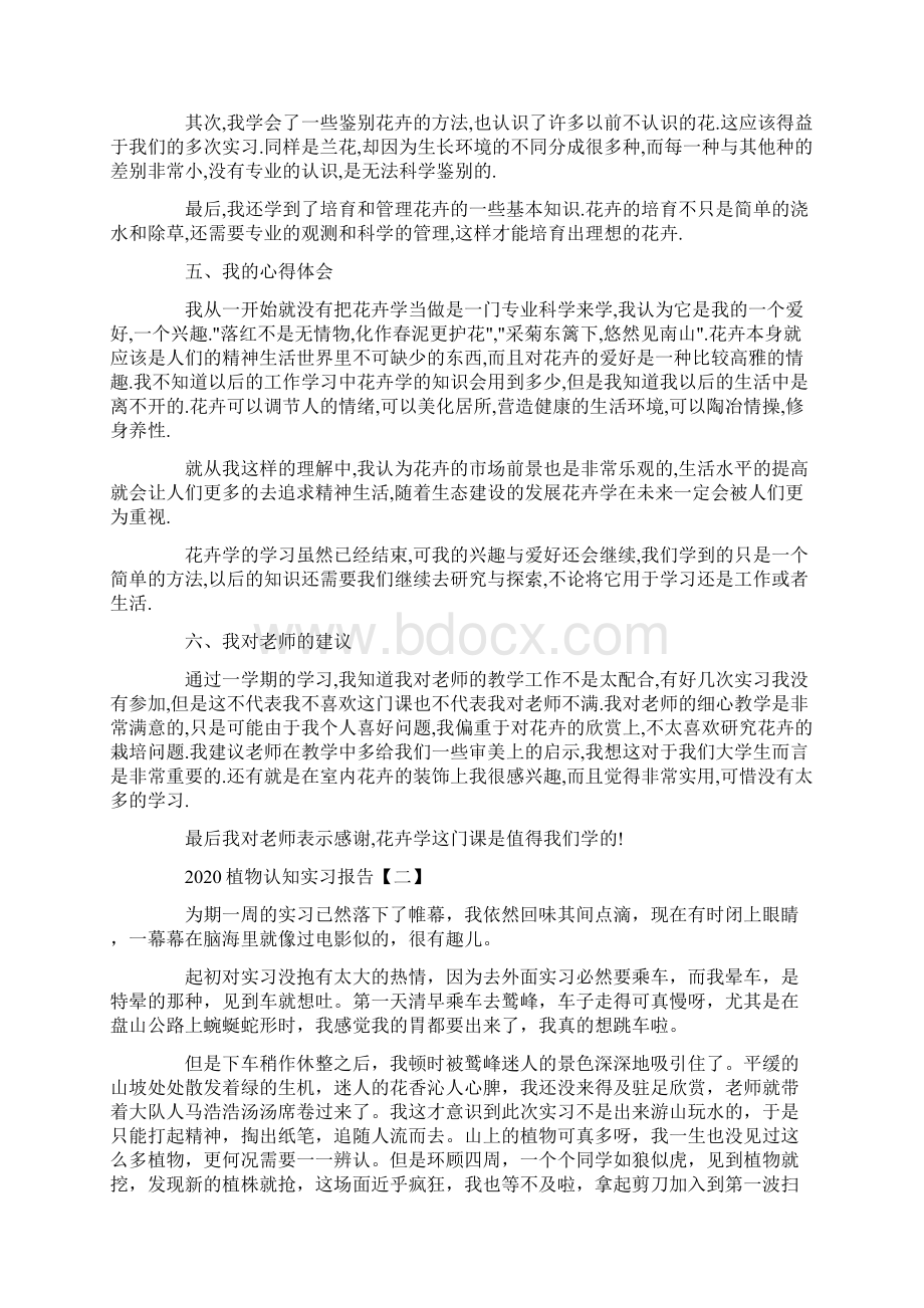 植物认知实习报告5篇Word文档格式.docx_第3页