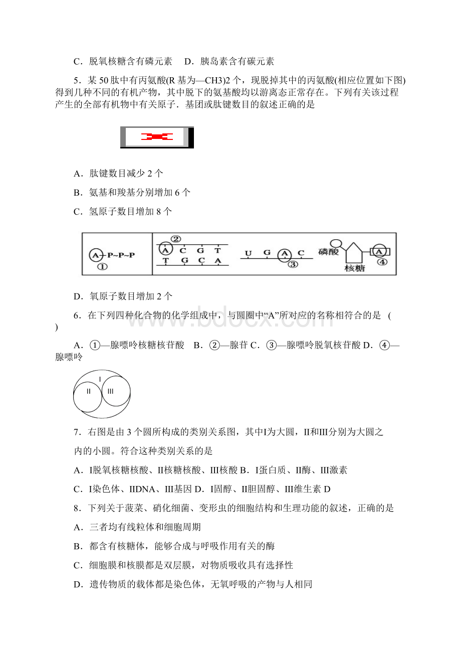 学年广东省揭阳市惠来县第一中学高一上学期期末质检考试生物试题 1.docx_第2页