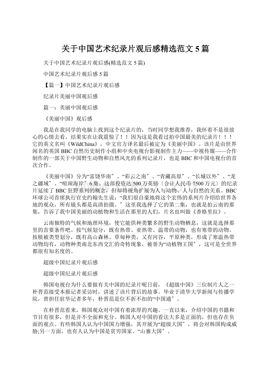 关于中国艺术纪录片观后感精选范文5篇Word格式.docx