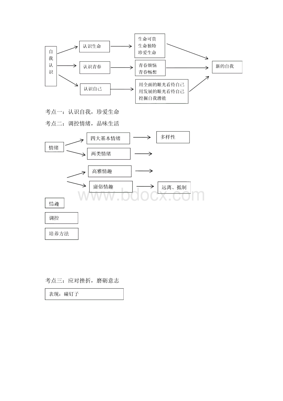 中考思想品德思维导图文档格式.docx_第2页