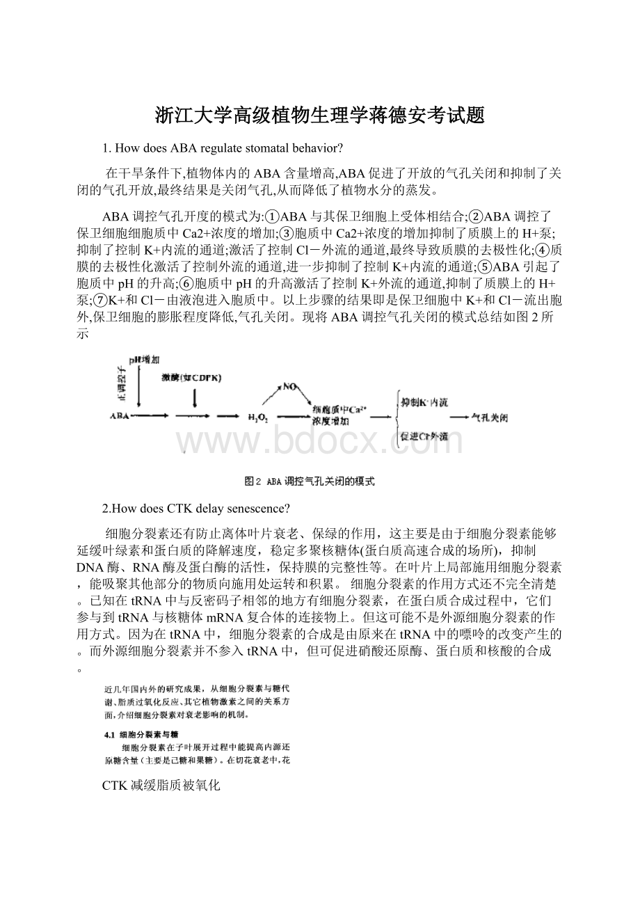 浙江大学高级植物生理学蒋德安考试题Word格式.docx_第1页