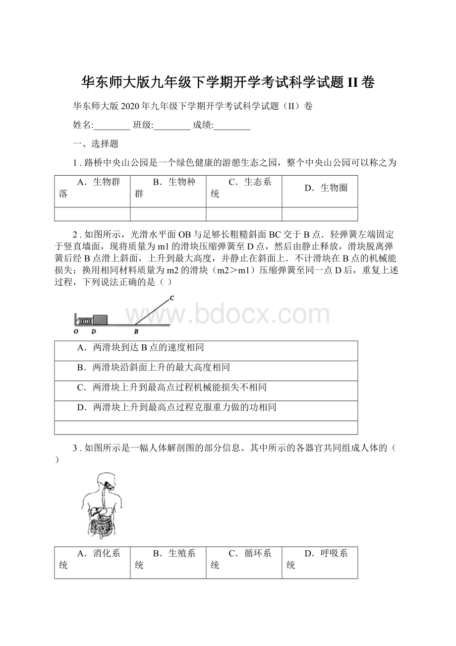 华东师大版九年级下学期开学考试科学试题II卷.docx_第1页