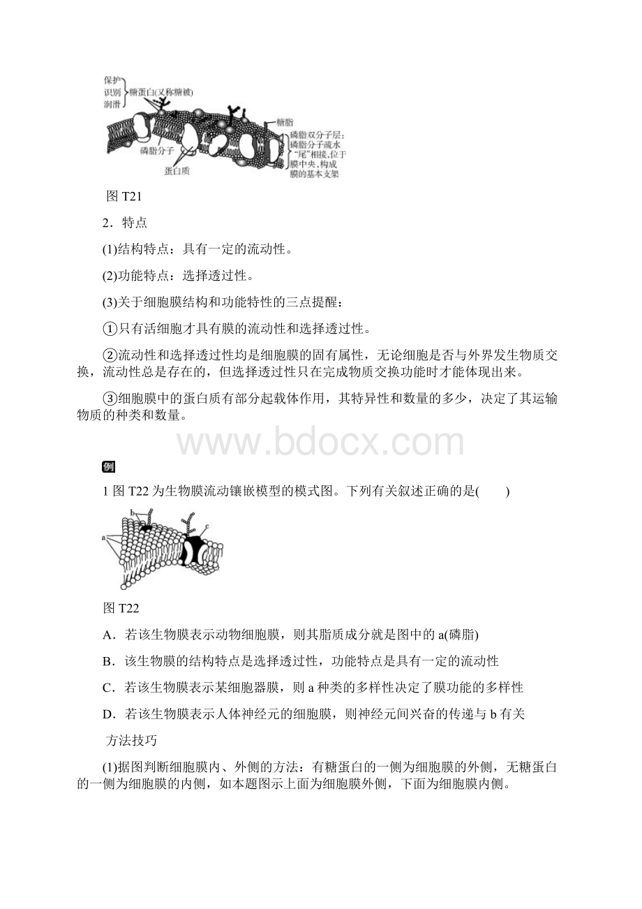 全国卷高考生物二轮讲练案12细胞的结构功能与物质运输含答案.docx_第3页