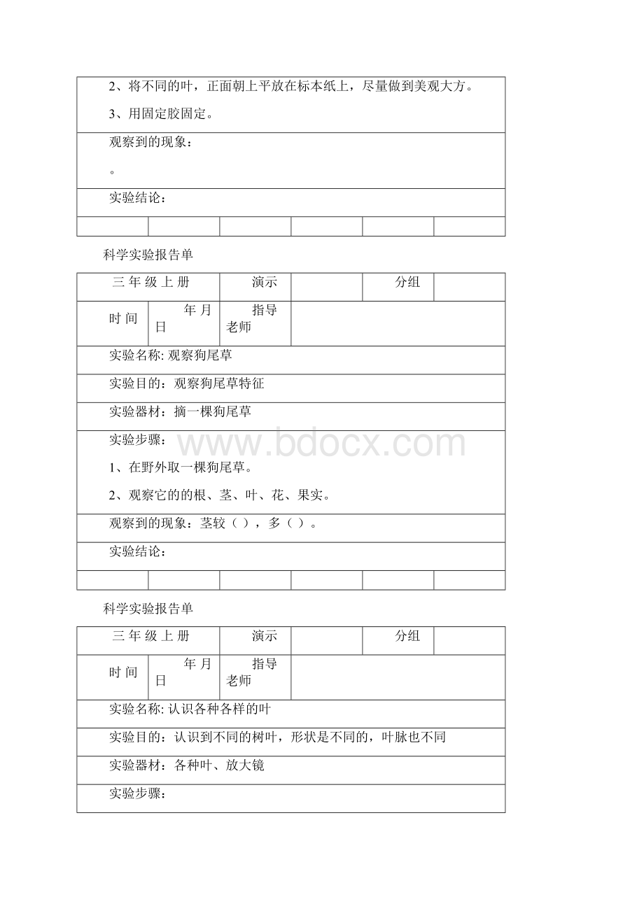 三年级上册科学实验报告单 1.docx_第2页