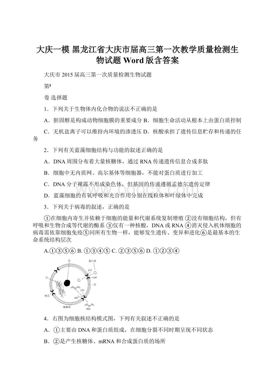 大庆一模 黑龙江省大庆市届高三第一次教学质量检测生物试题 Word版含答案Word文档下载推荐.docx