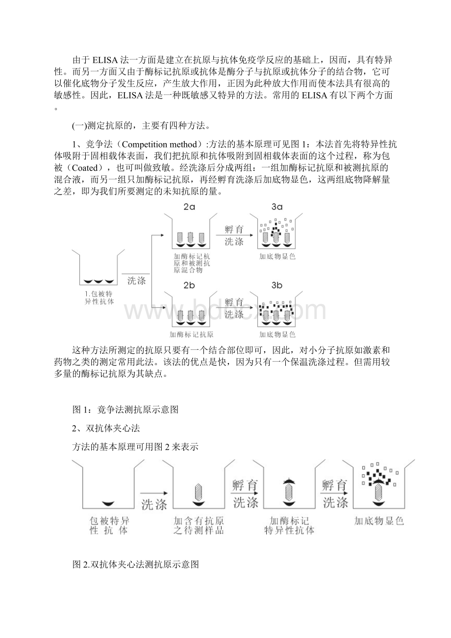 ELISA 原理.docx_第2页