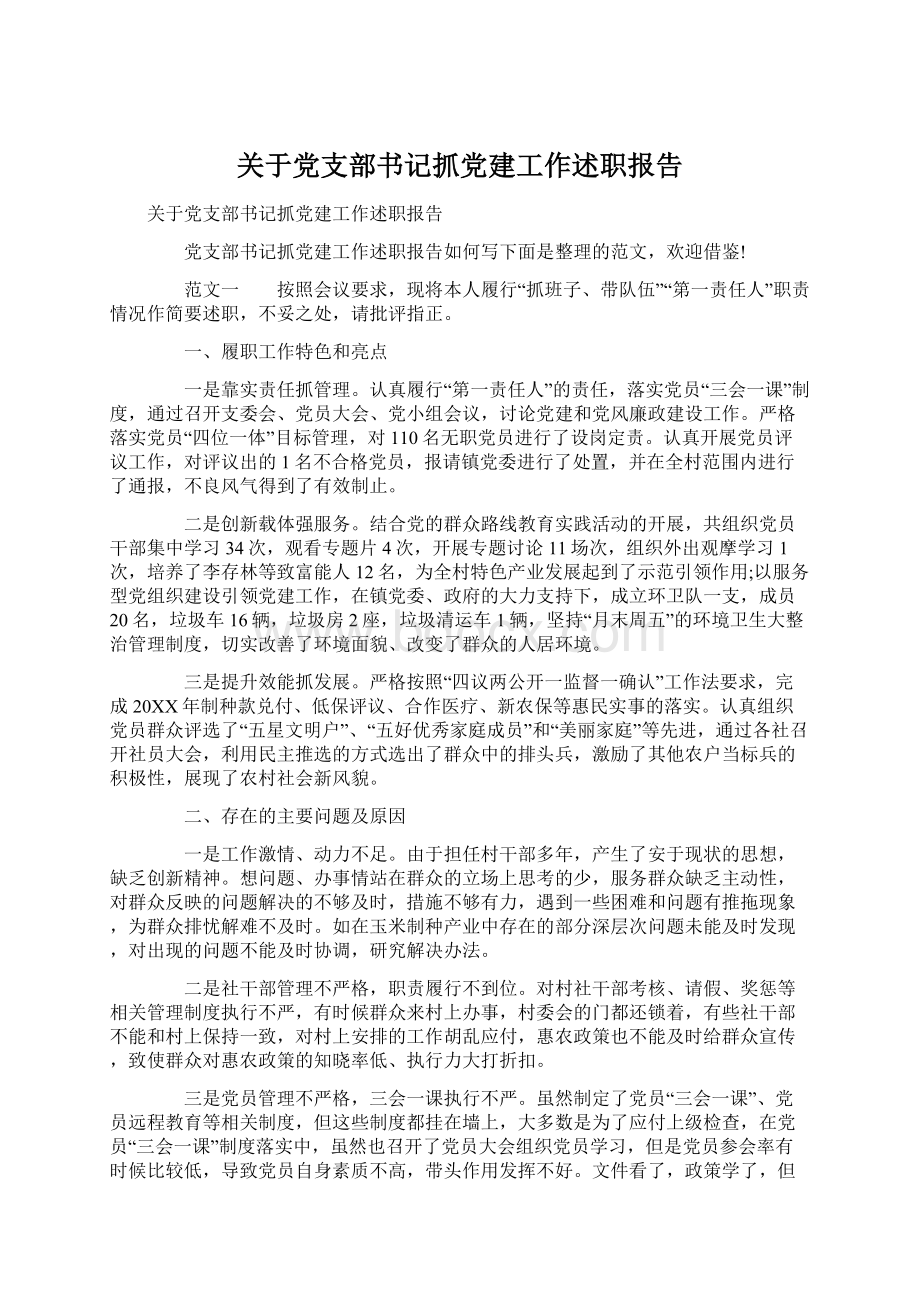 关于党支部书记抓党建工作述职报告.docx