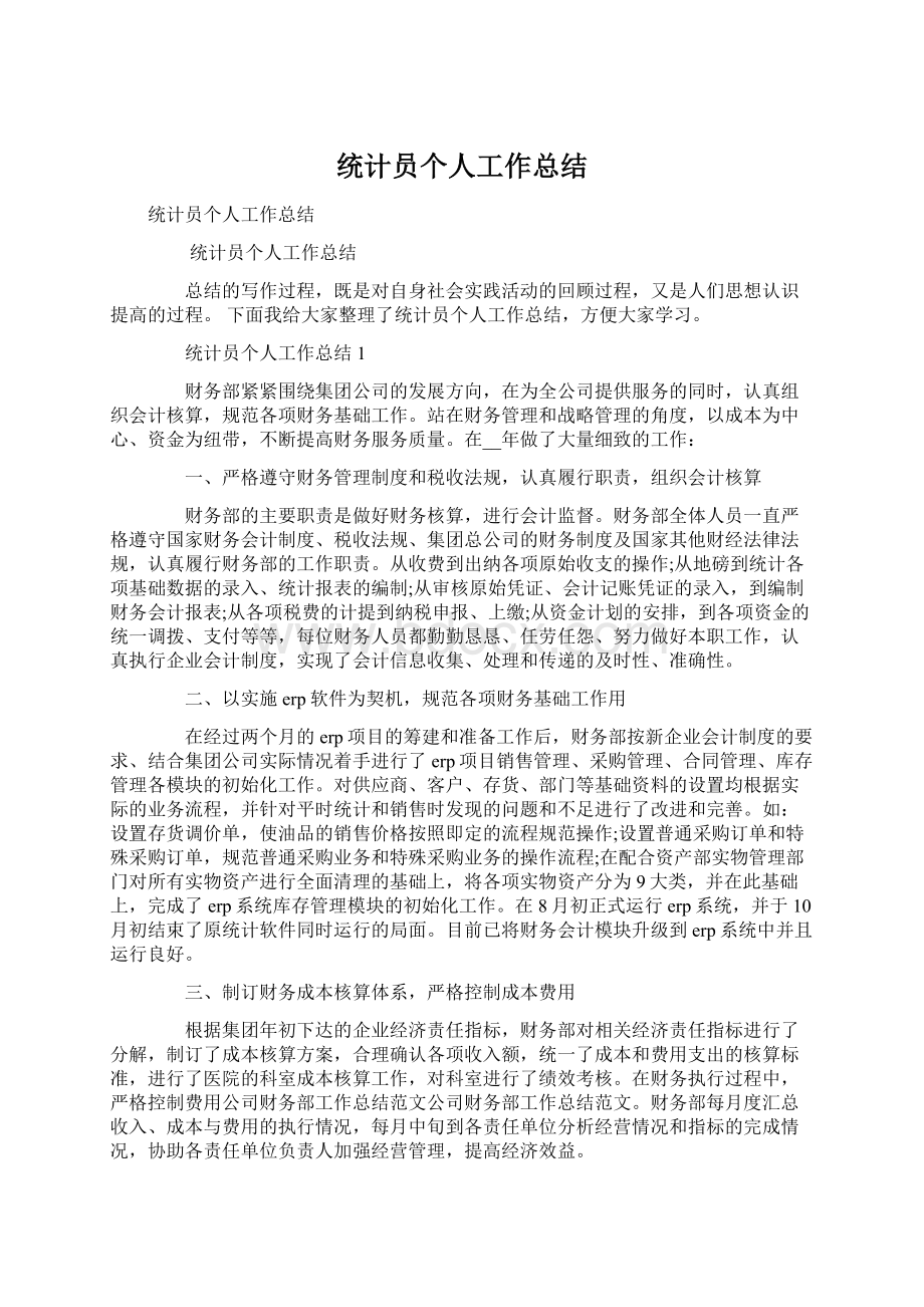 统计员个人工作总结.docx