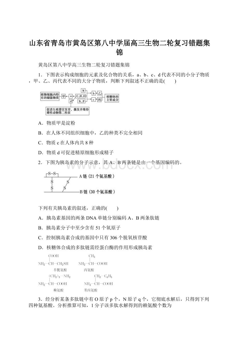 山东省青岛市黄岛区第八中学届高三生物二轮复习错题集锦Word文档格式.docx