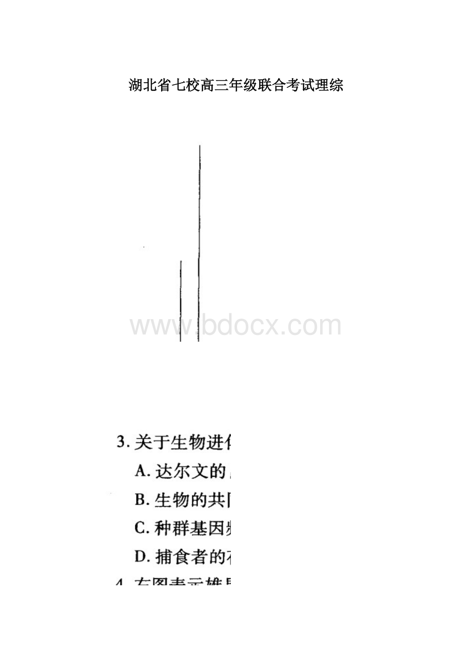 湖北省七校高三年级联合考试理综.docx_第1页