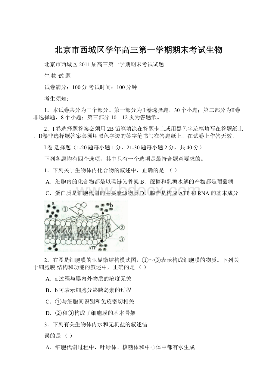 北京市西城区学年高三第一学期期末考试生物Word文档格式.docx_第1页