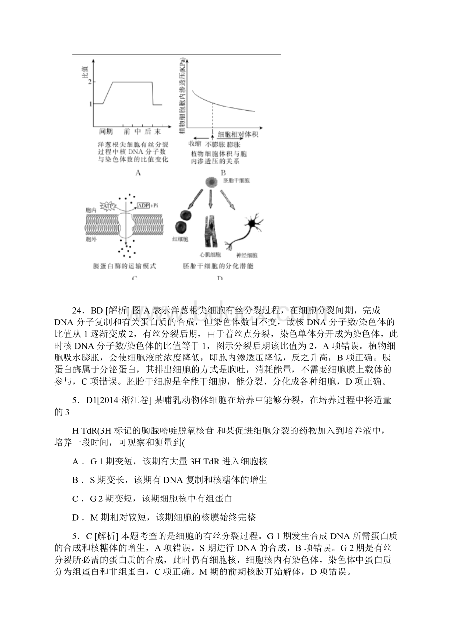 高考生物分类汇编高考真题模拟新题细胞的生命历.docx_第3页