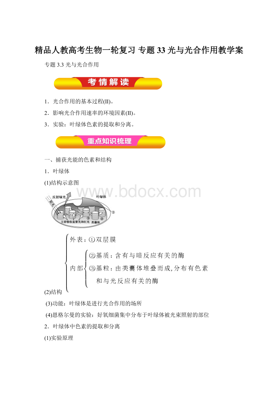 精品人教高考生物一轮复习 专题33 光与光合作用教学案Word文档格式.docx