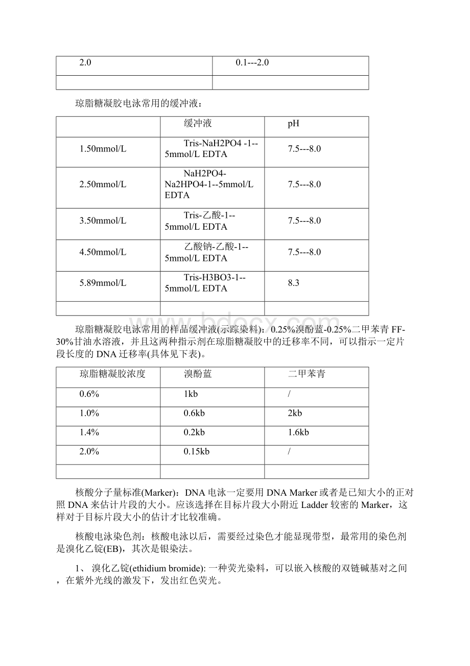 琼脂糖凝胶电泳.docx_第2页