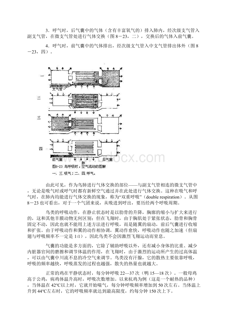 细小的微支气管airWord文档下载推荐.docx_第3页