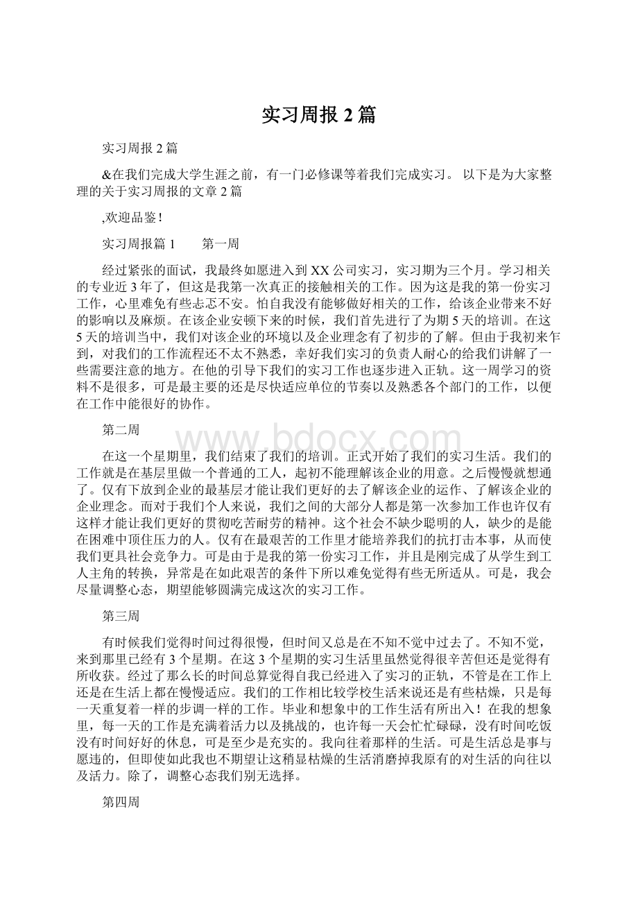 实习周报2篇文档格式.docx_第1页