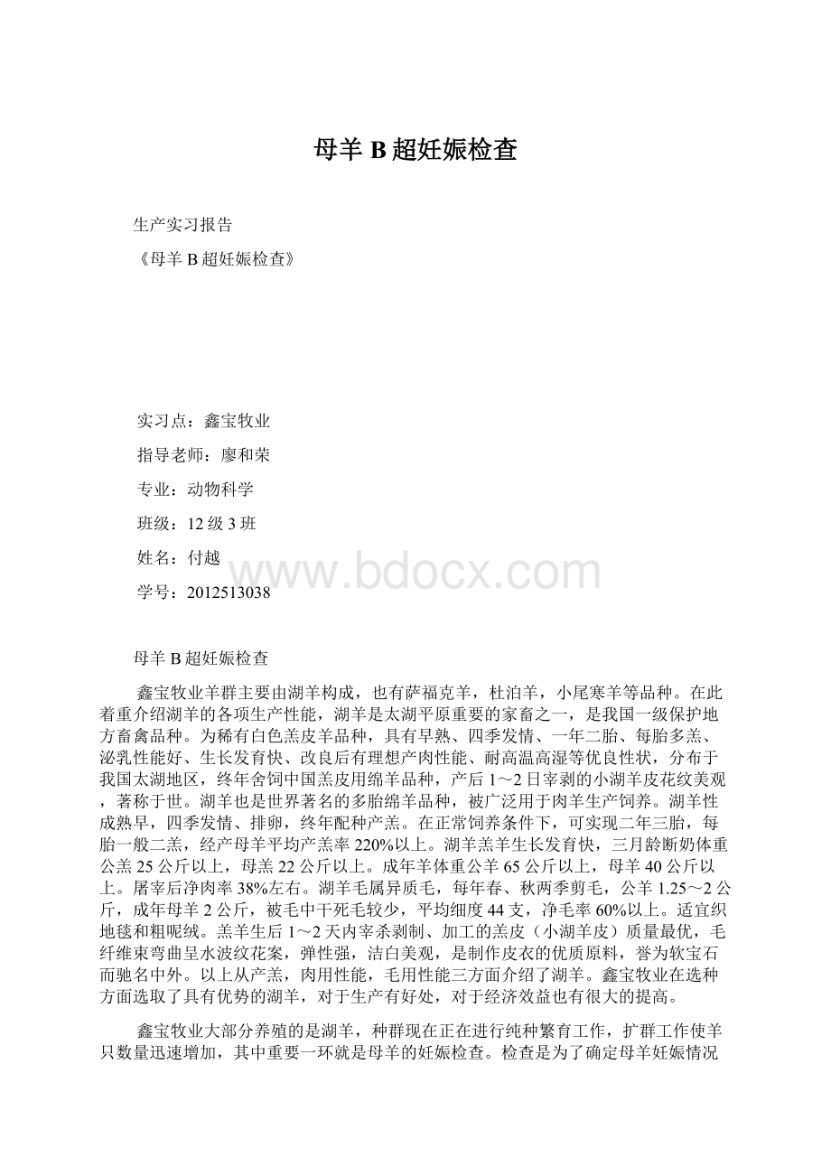 母羊B超妊娠检查.docx_第1页