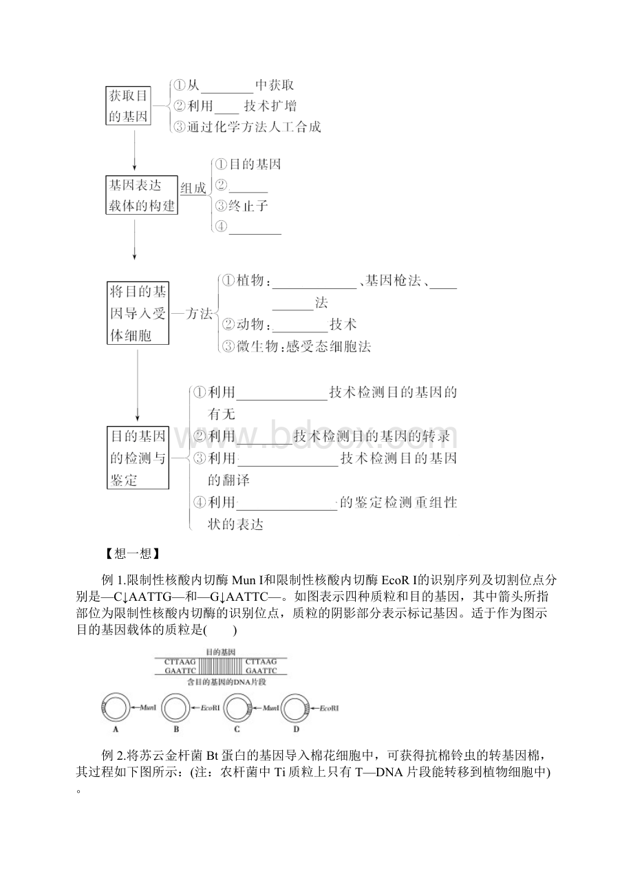 高二生物 专题01 基因工程的操作工具及操作步骤暑假作.docx_第2页