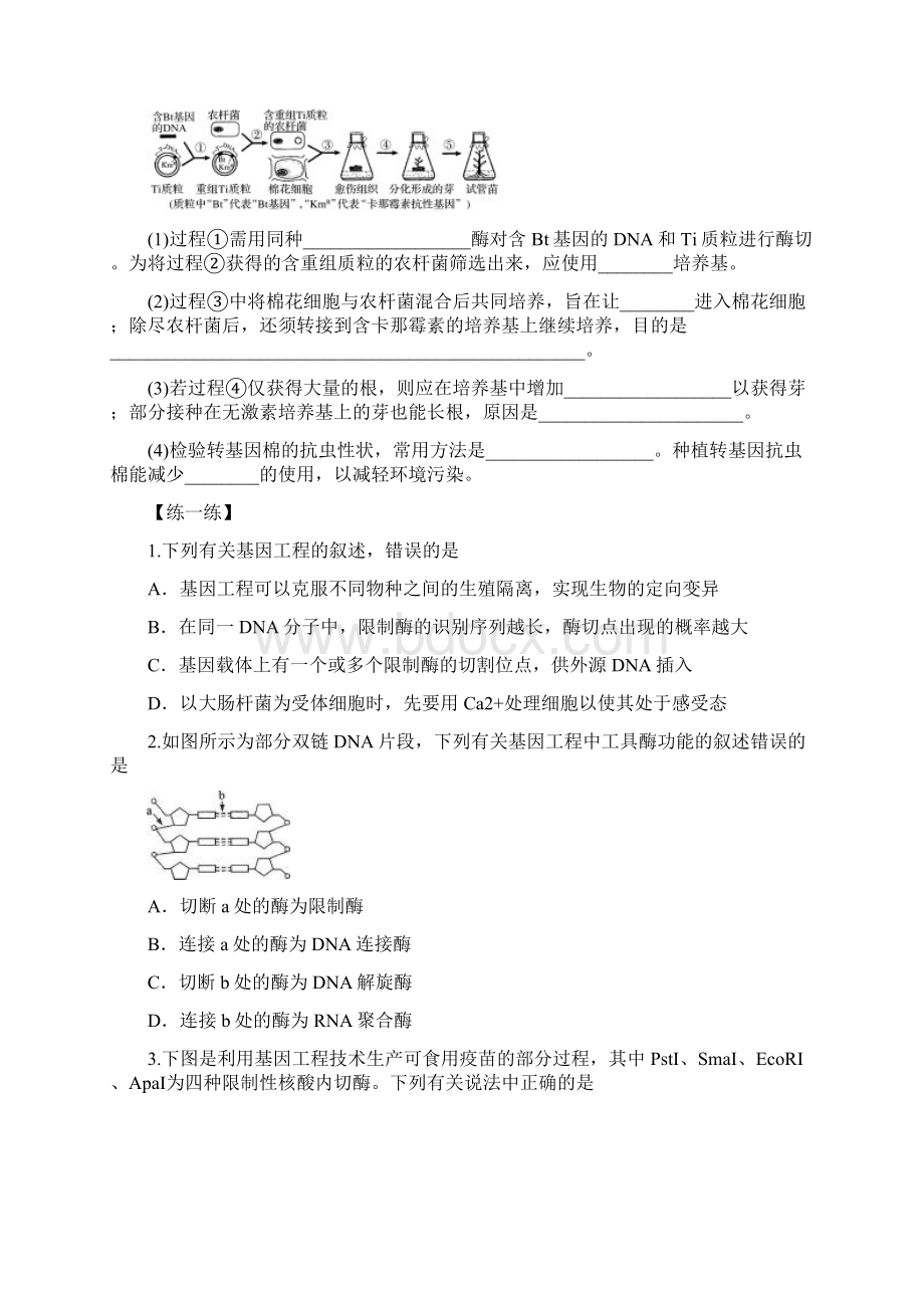 高二生物 专题01 基因工程的操作工具及操作步骤暑假作.docx_第3页