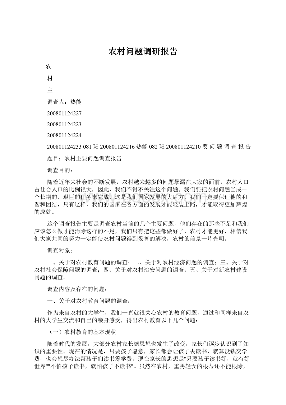 农村问题调研报告文档格式.docx