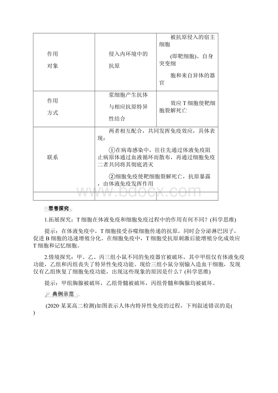 学年高中生物第2章动物和人体生命活动的调节4免疫调节二学案新人教版必修3.docx_第3页