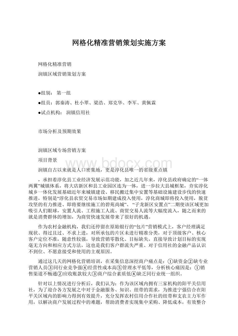 网格化精准营销策划实施方案.docx