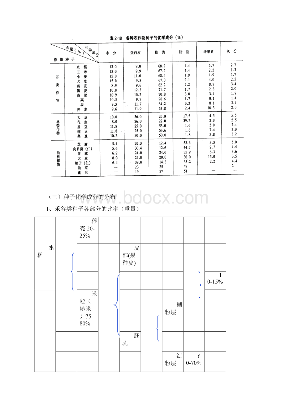 种子中的各种成分Word下载.docx_第2页