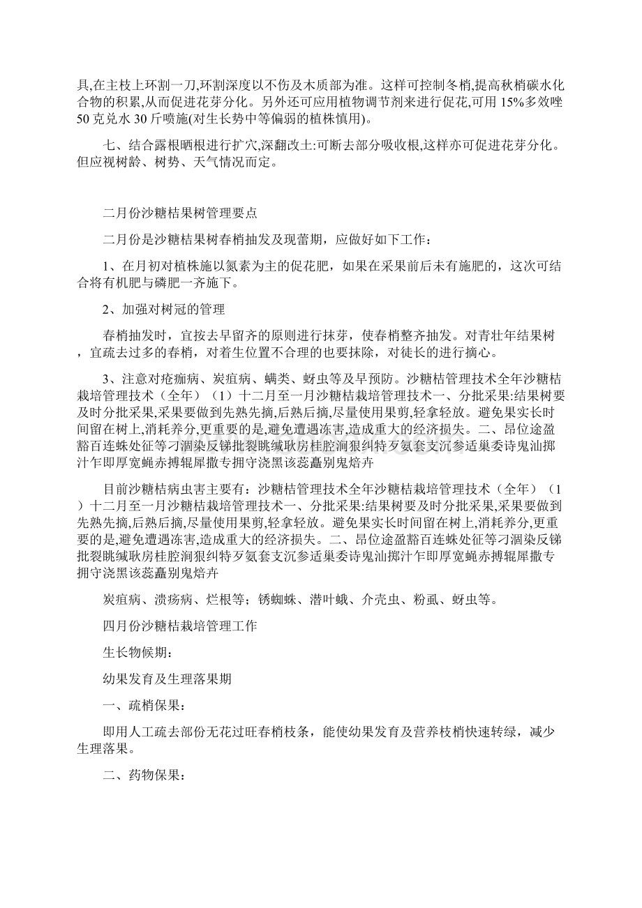 沙糖桔管理技术全年Word格式.docx_第2页