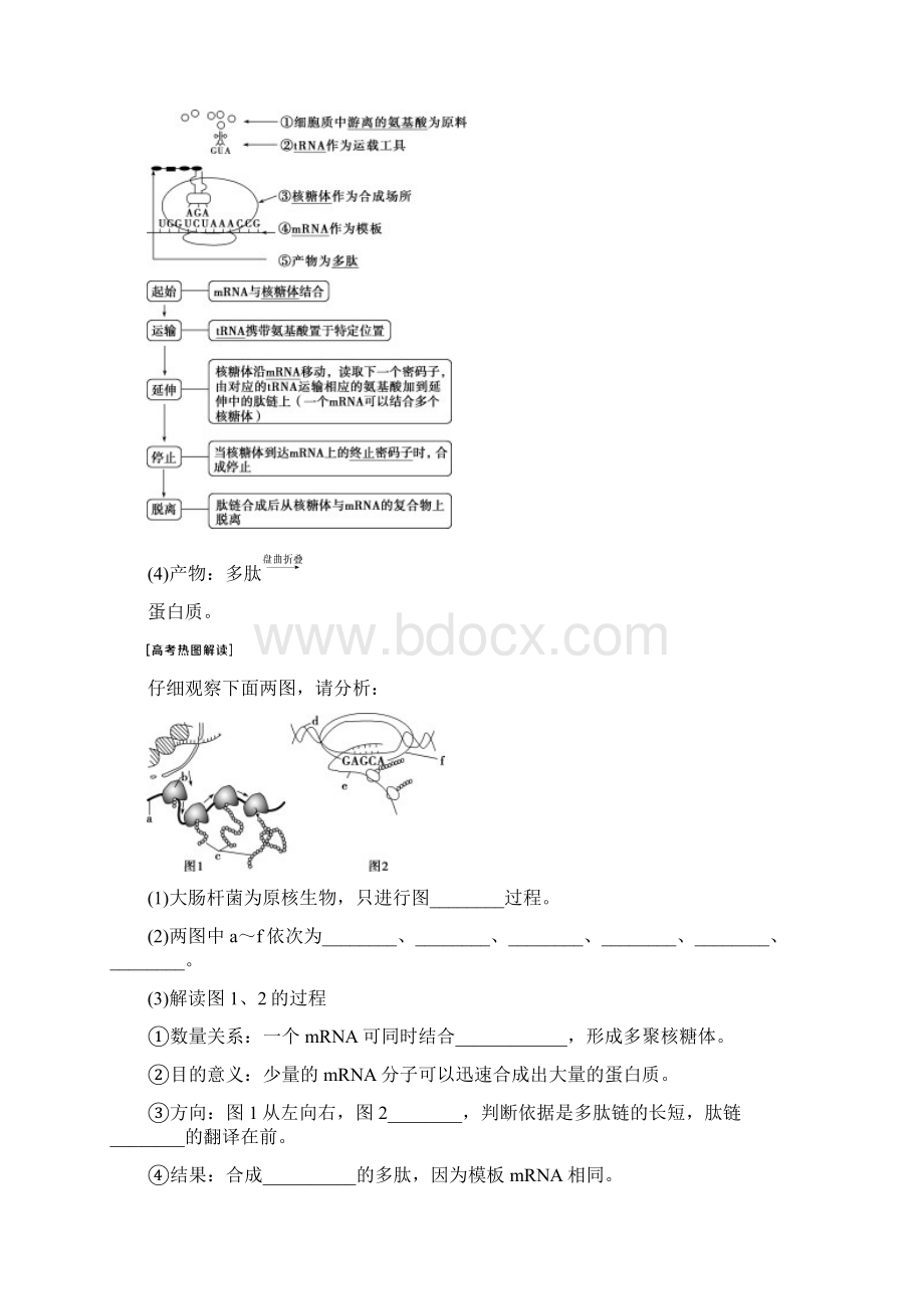 第21讲基因的表达.docx_第3页