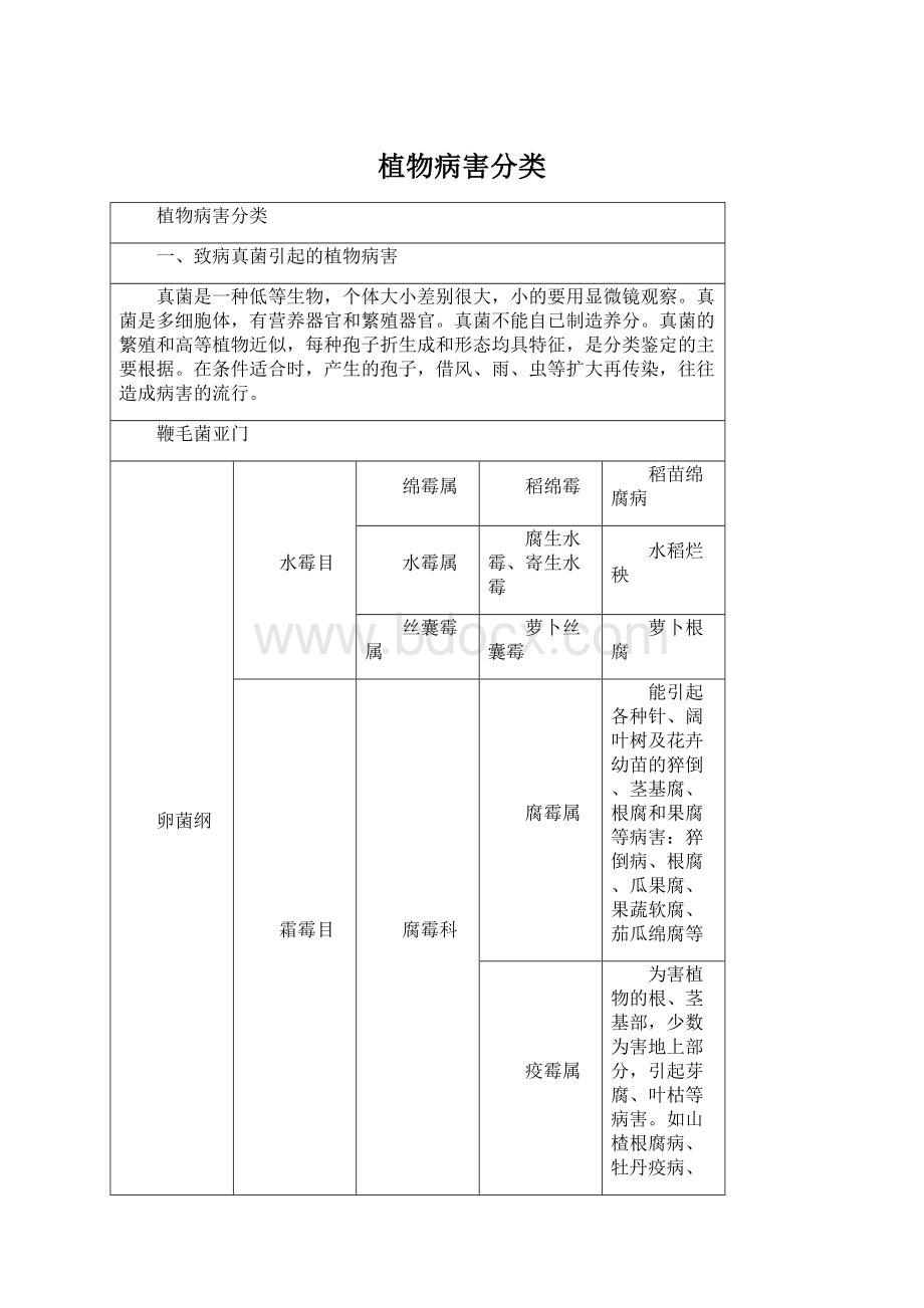 植物病害分类.docx_第1页