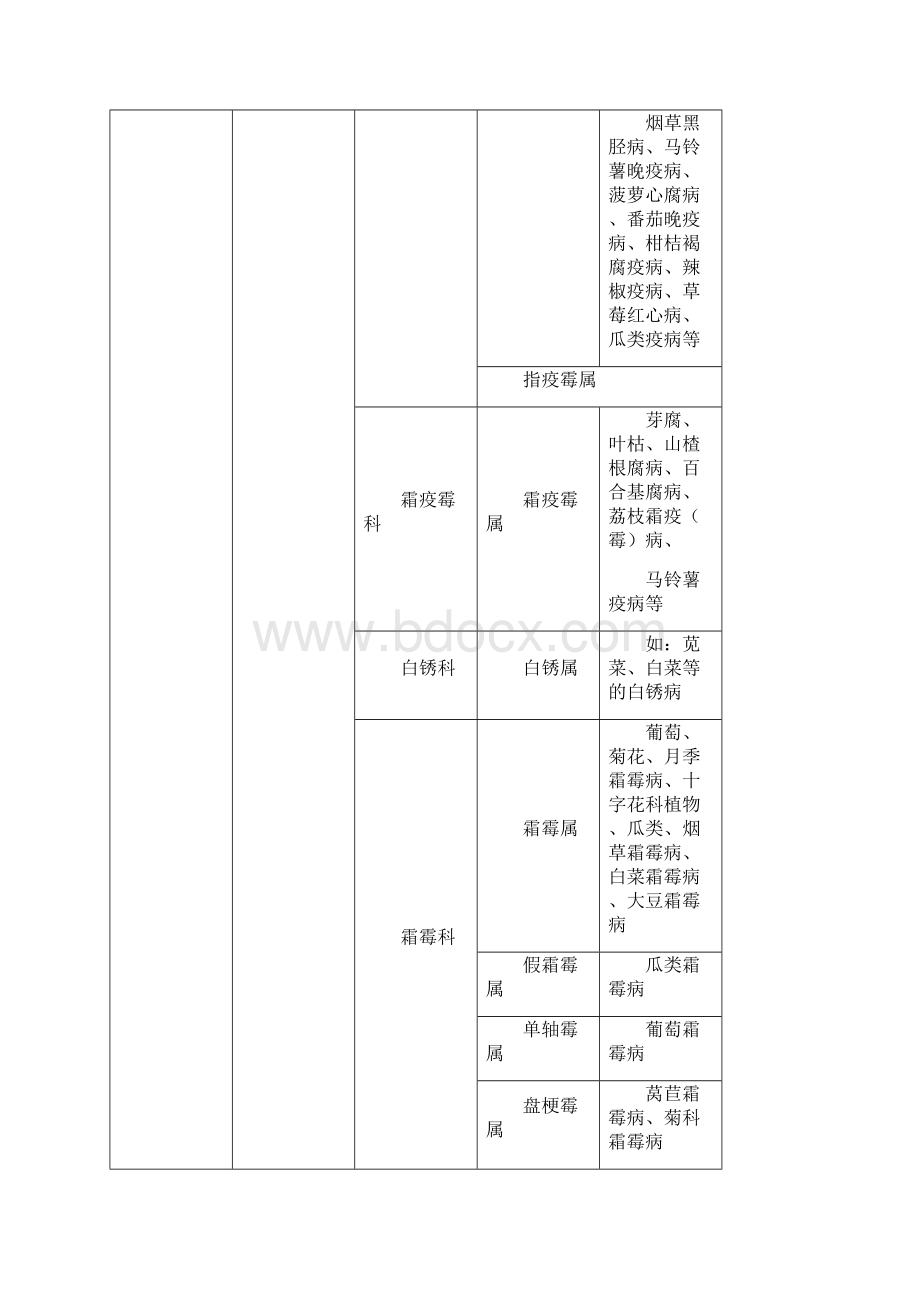 植物病害分类.docx_第2页