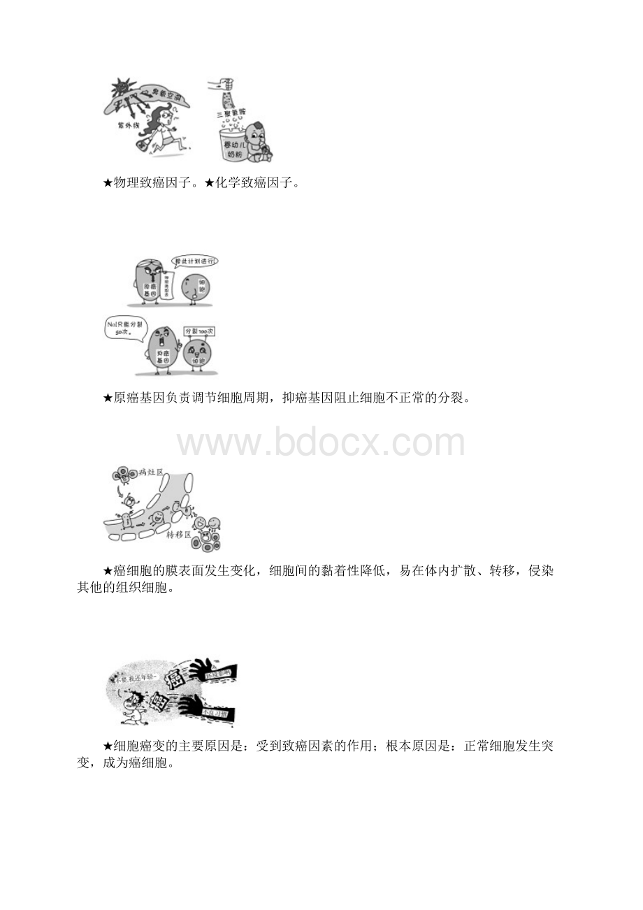 版高中生物必修1学案53 关注癌症 精品Word格式.docx_第3页