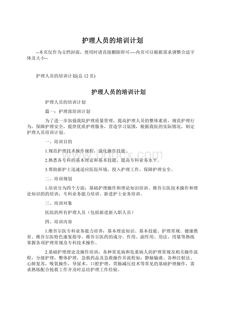 护理人员的培训计划文档格式.docx