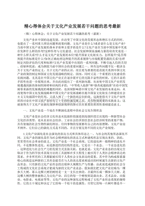 精心得体会关于文化产业发展若干问题的思考最新.docx