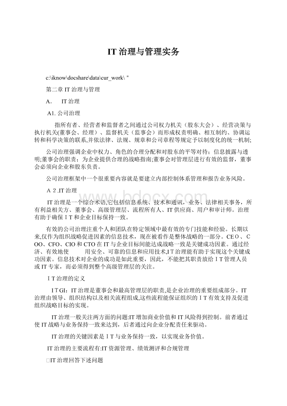 IT治理与管理实务Word格式.docx