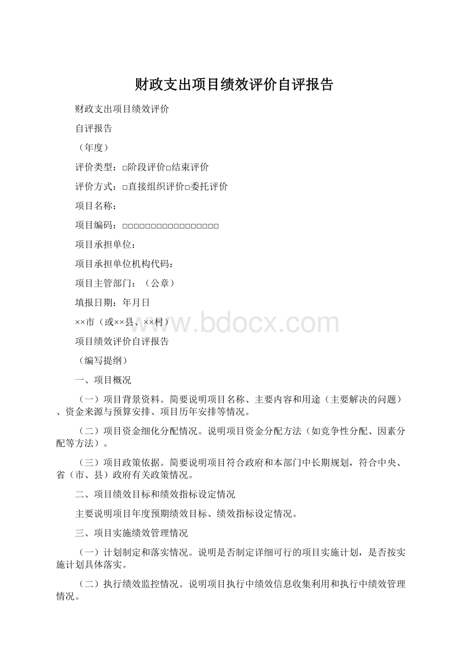 财政支出项目绩效评价自评报告Word下载.docx