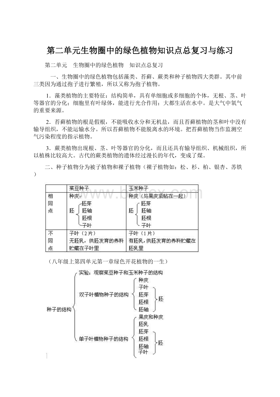 第二单元生物圈中的绿色植物知识点总复习与练习.docx_第1页