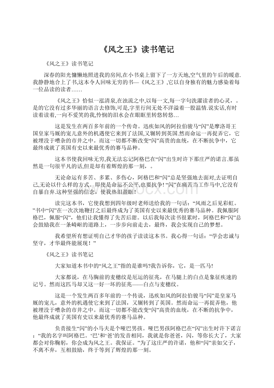 《风之王》读书笔记Word文档下载推荐.docx_第1页