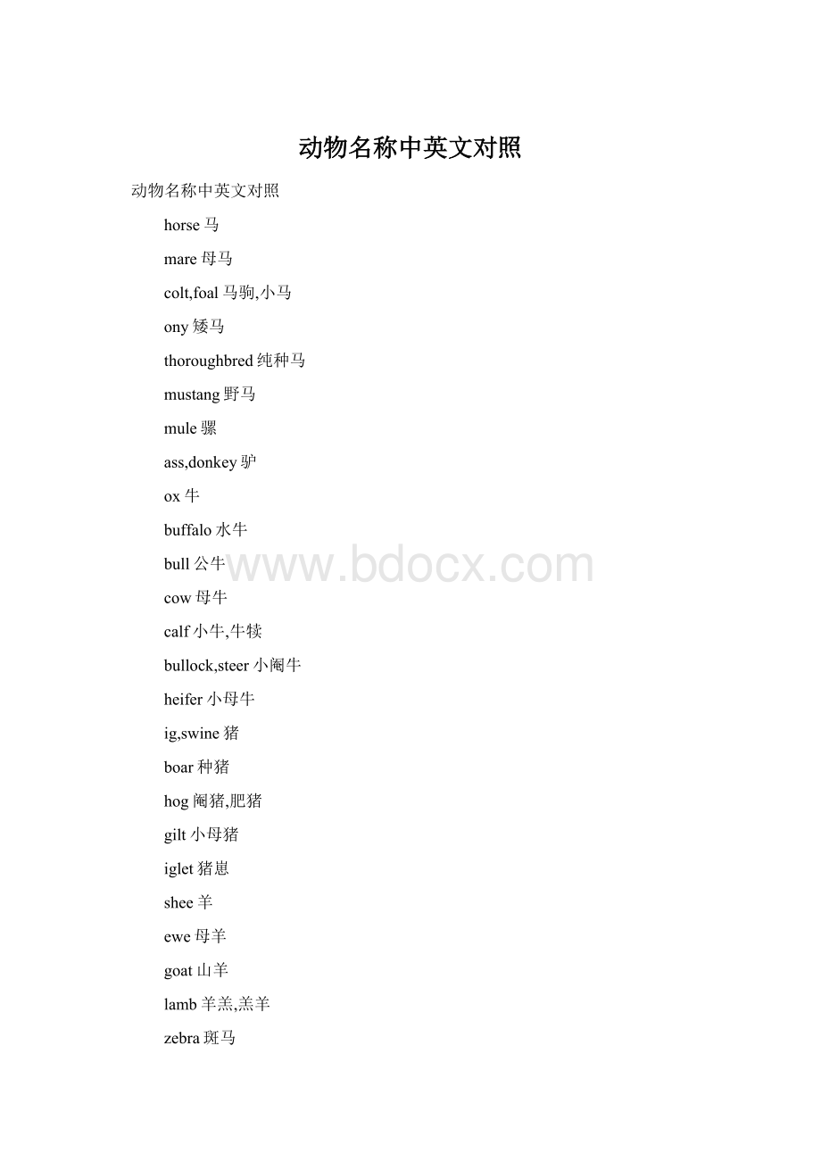 动物名称中英文对照Word下载.docx_第1页