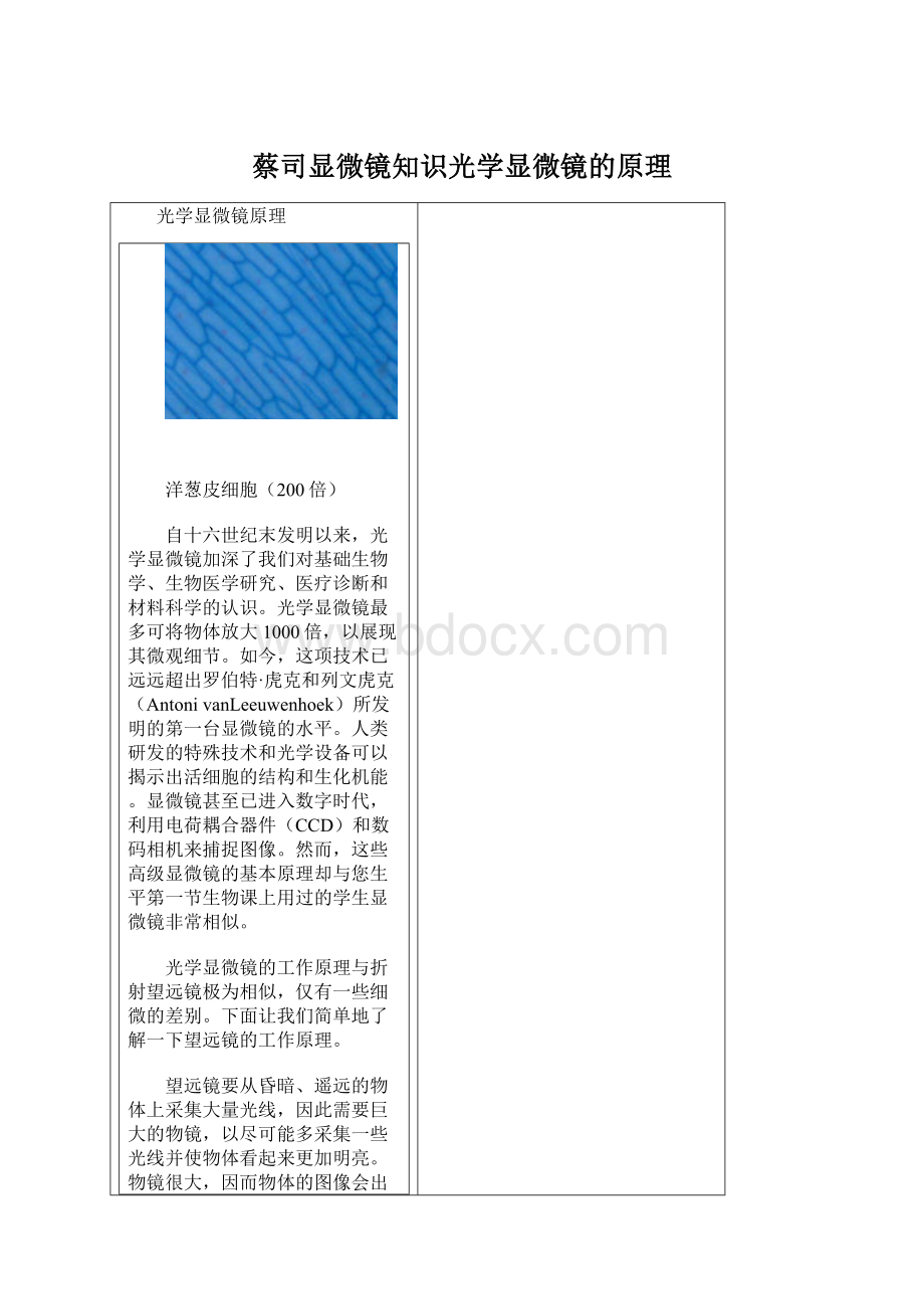 蔡司显微镜知识光学显微镜的原理Word文件下载.docx