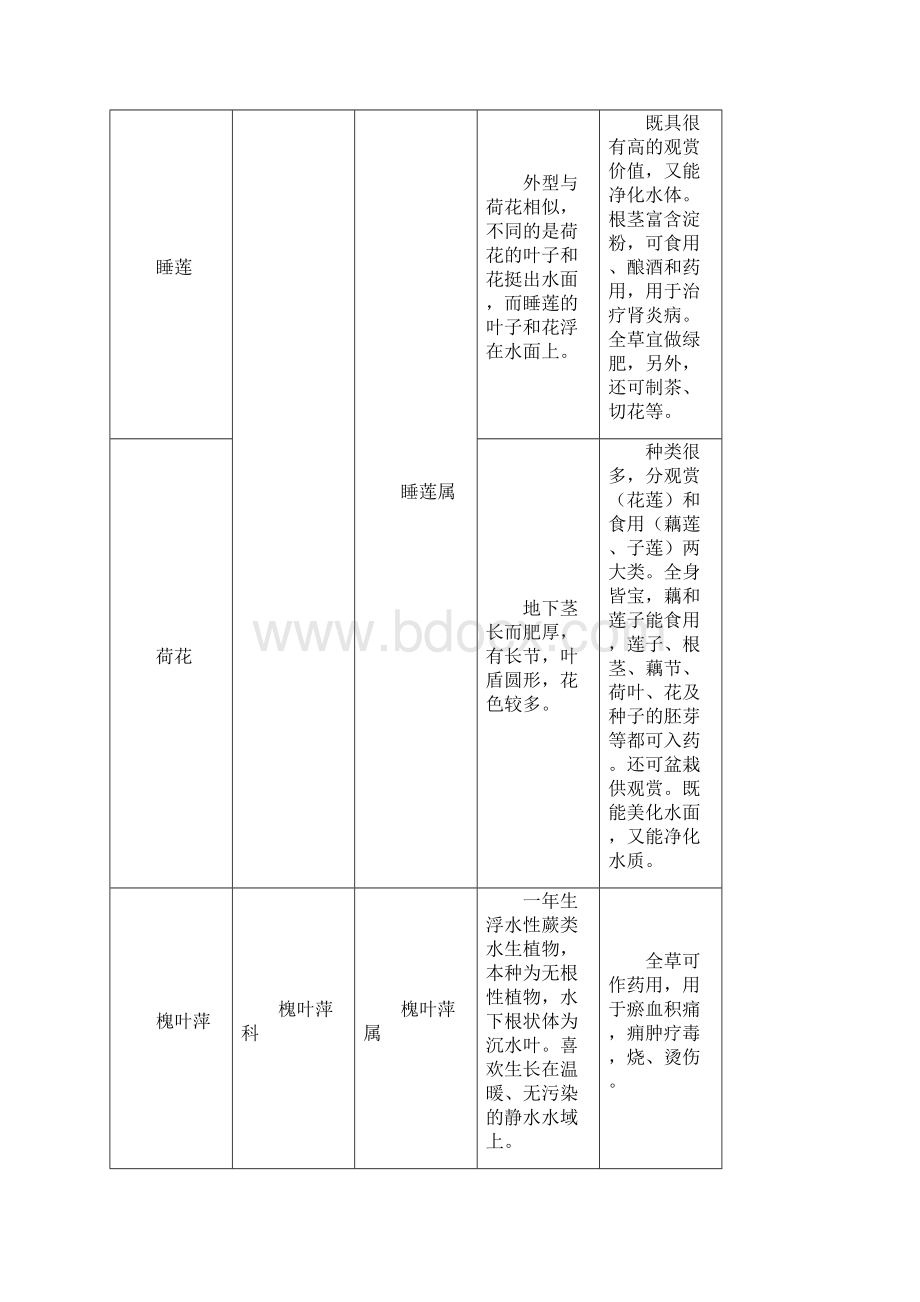 海南省目前具有的水生植物及具有发展潜力的水生植物.docx_第2页