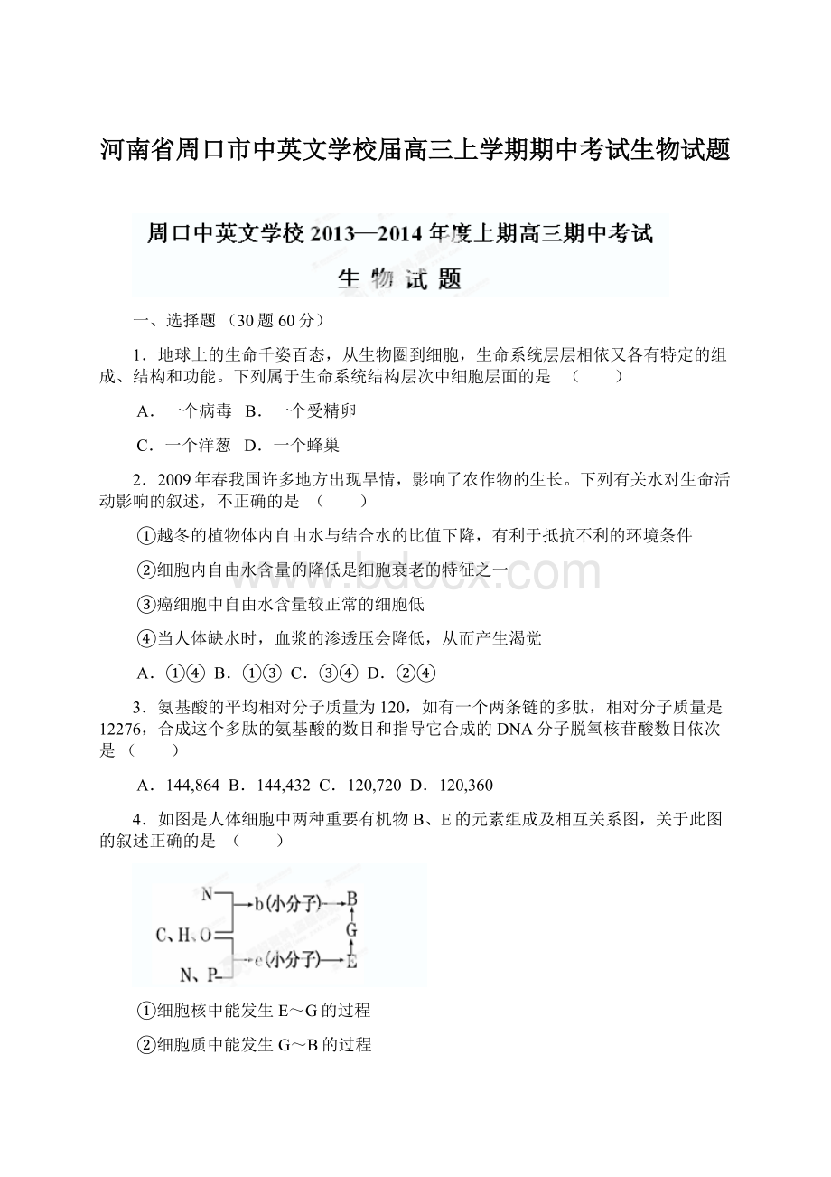 河南省周口市中英文学校届高三上学期期中考试生物试题.docx_第1页