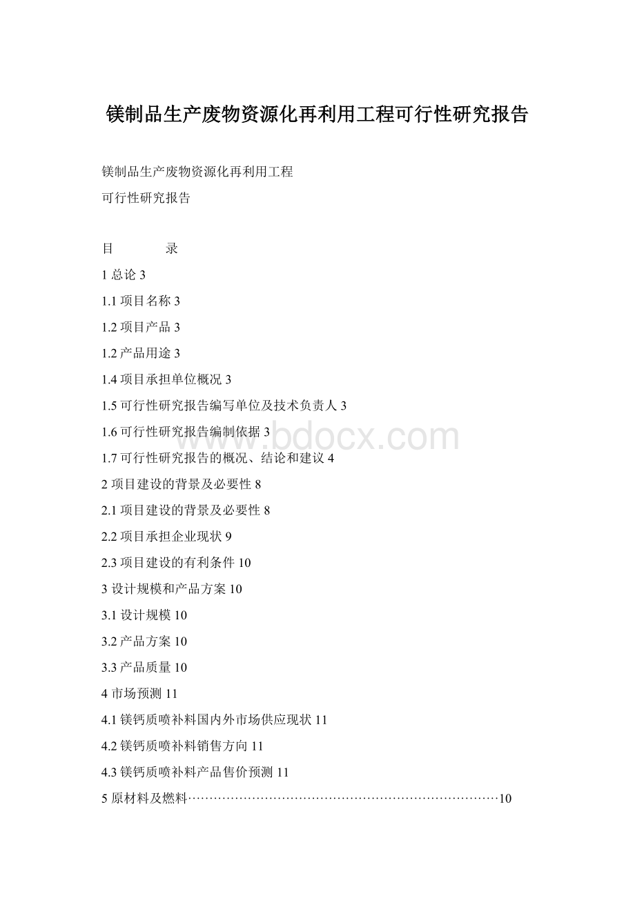 镁制品生产废物资源化再利用工程可行性研究报告.docx_第1页