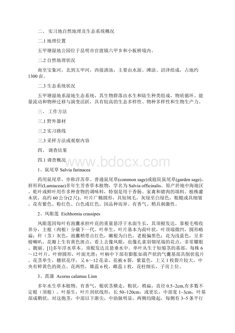 昆明五甲塘湿地生态公园生态学野外实习报告Word格式文档下载.docx_第2页