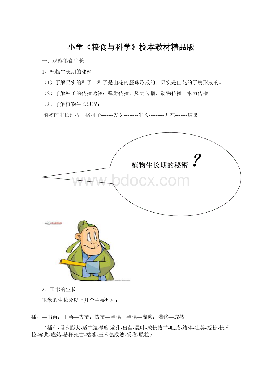 小学《粮食与科学》校本教材精品版Word文档下载推荐.docx